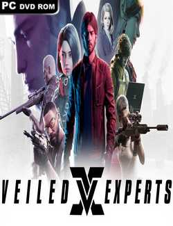 VEILED EXPERTS-CPY
