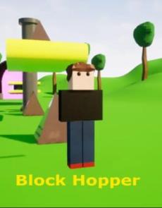 Block Hopper Cover
